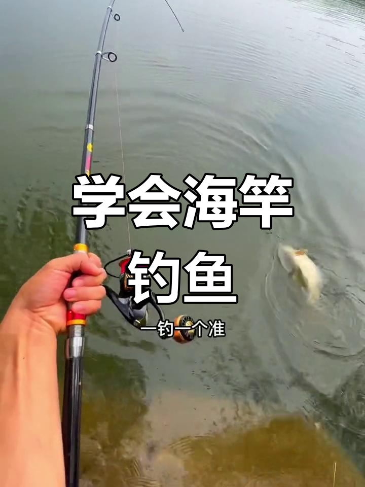 海竿钓鲤鱼技巧,轻松掌握浏阳钩法