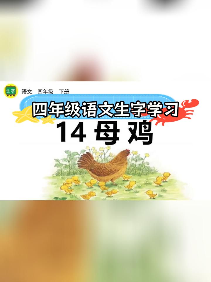 四年级下册语文第14课《母鸡》生字解析与书写技巧