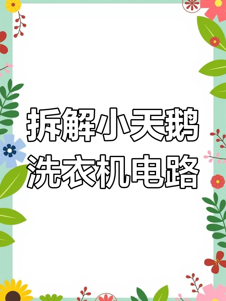 小天鹅全自动洗衣机面板与电路解析