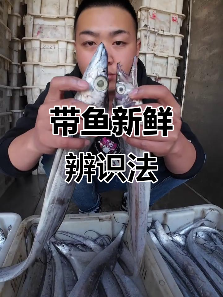 海鲜老板揭秘:带鱼新鲜度如何辨别?