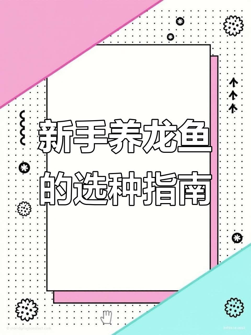 适合新手养的龙鱼品种推荐，如何选择入门龙鱼