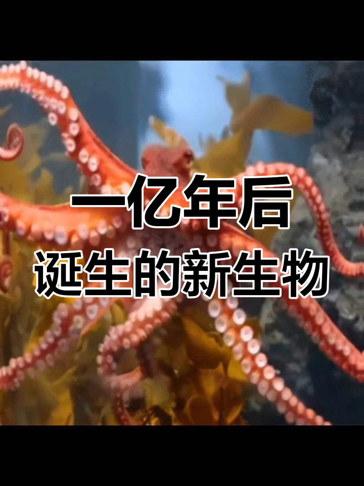 未来新物种:沼泽章鱼揭秘