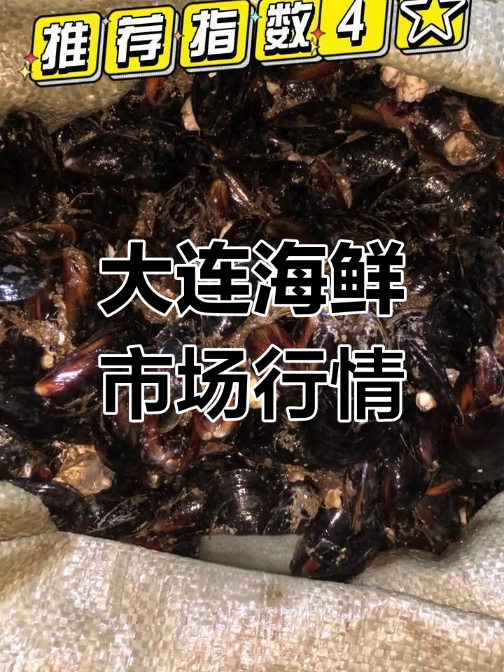 大连海鲜推荐:安康鱼、海虹与扇贝的批发价格分析