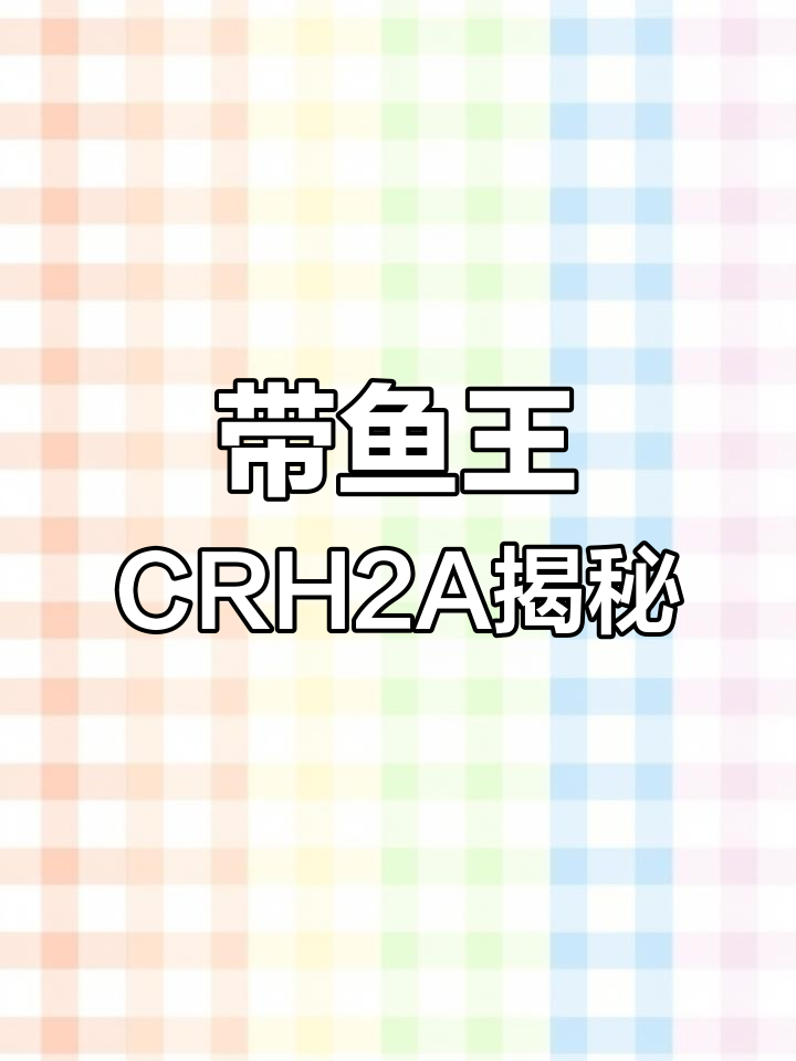 赣榆至连云港高铁之旅,带鱼王CRH2A-2001特别体验