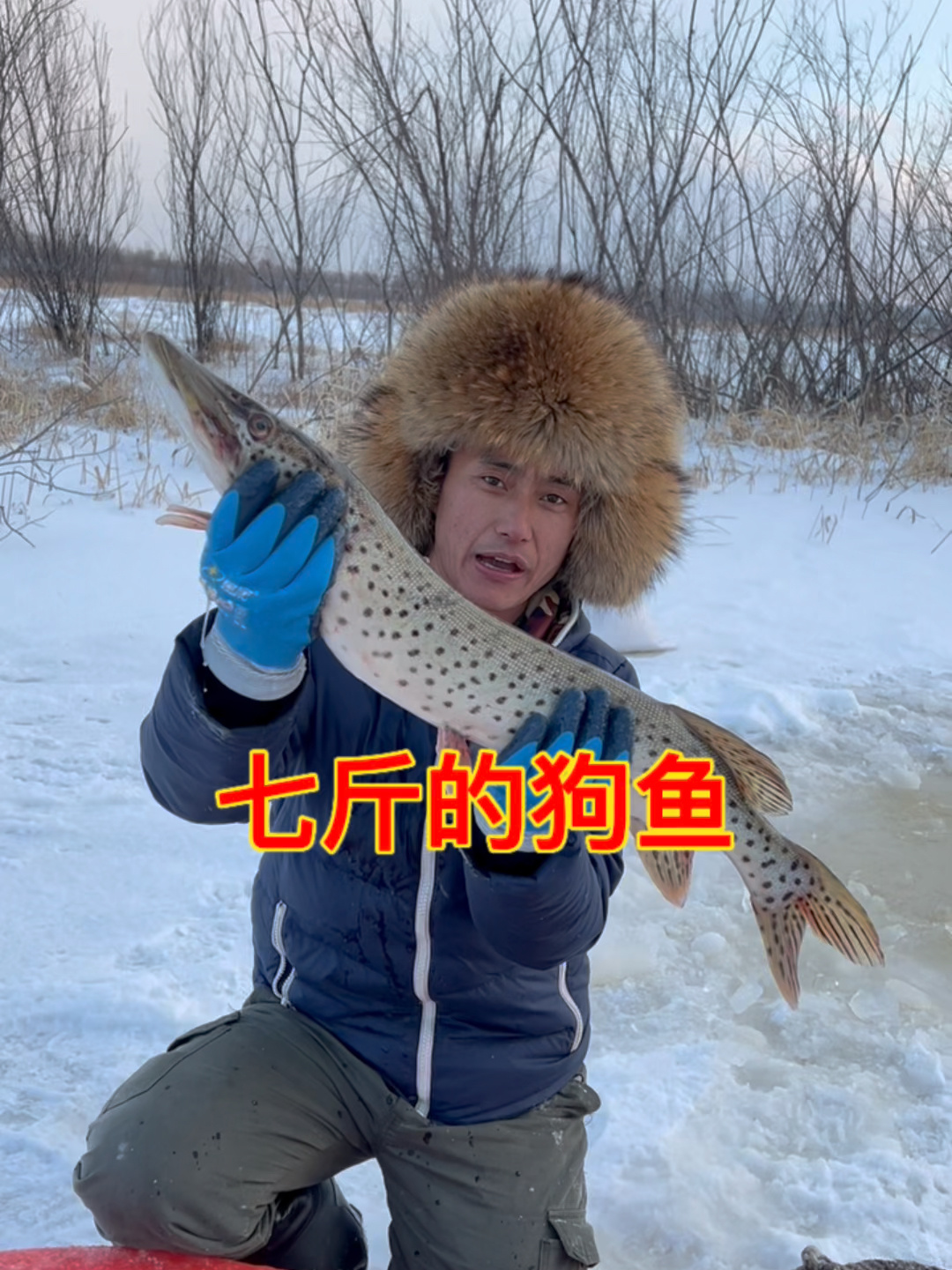 黑斑狗鱼7斤重