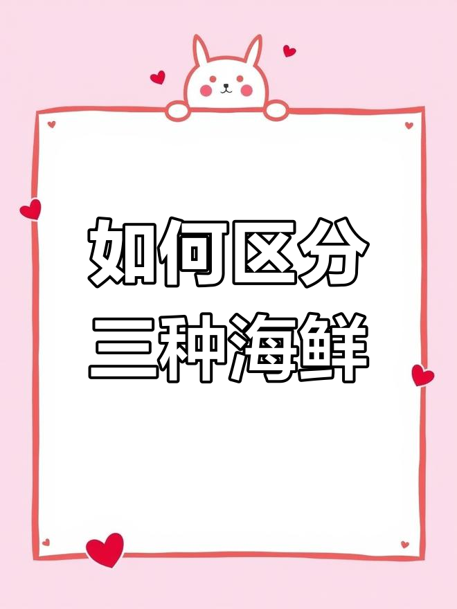 墨鱼、章鱼和鱿鱼的三大区别,你了解吗?