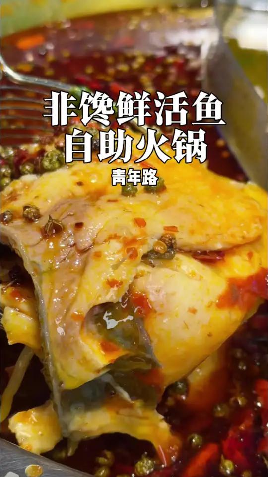 这家胖头鱼自助火锅!太好吃了!