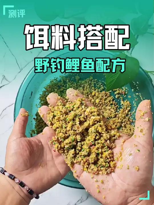 初秋野钓大鲤鱼极佳搭配!老钓友都用过的配方!稍微改动状态绝了!