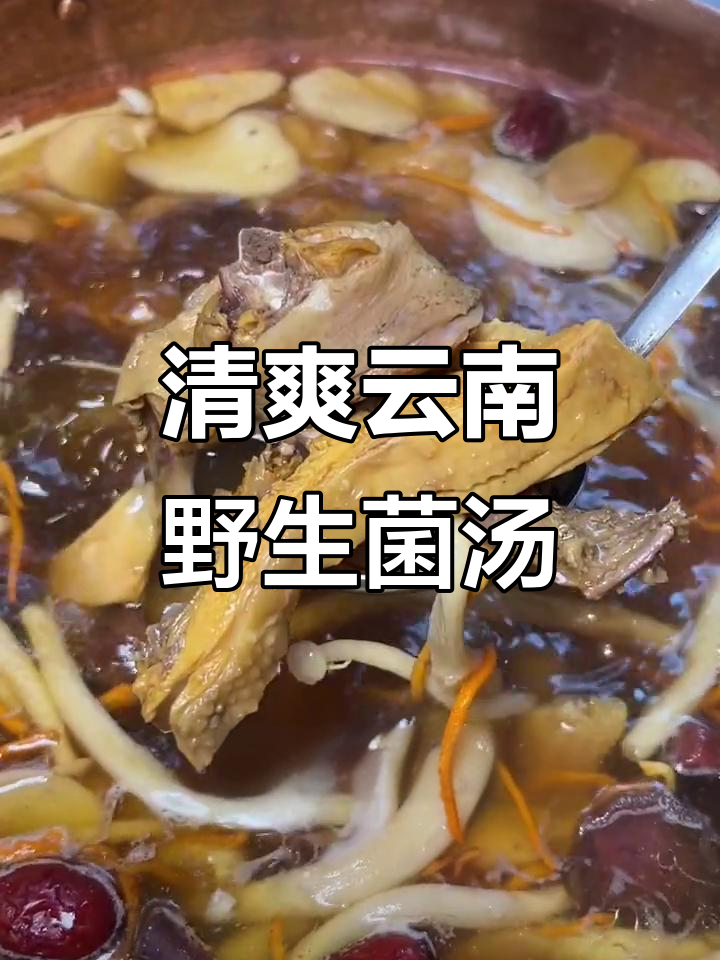 成都银泰镇的云南风味野菌汤锅,清淡又营养