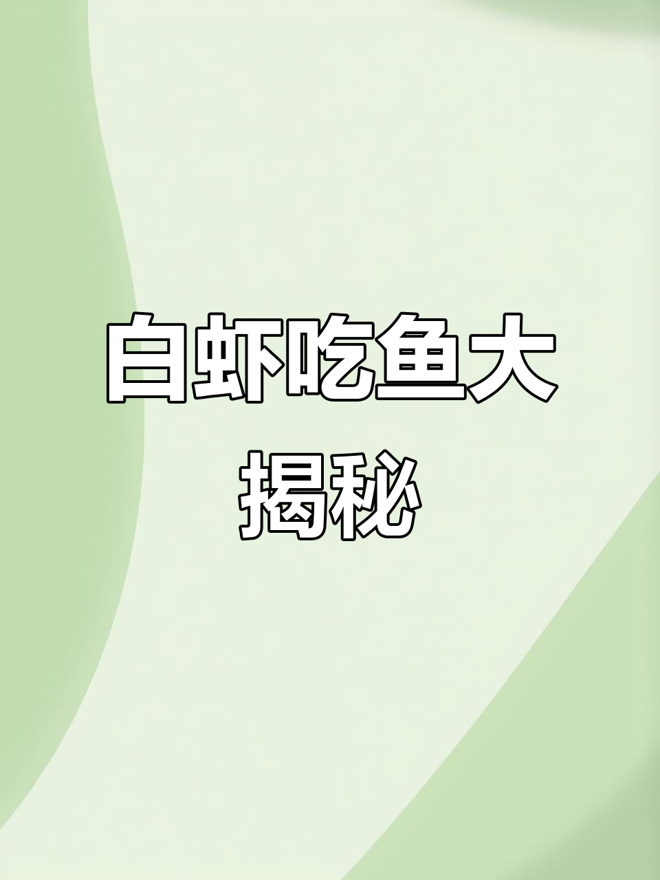秀丽白虾捕食瞬间,竟如此凶猛!