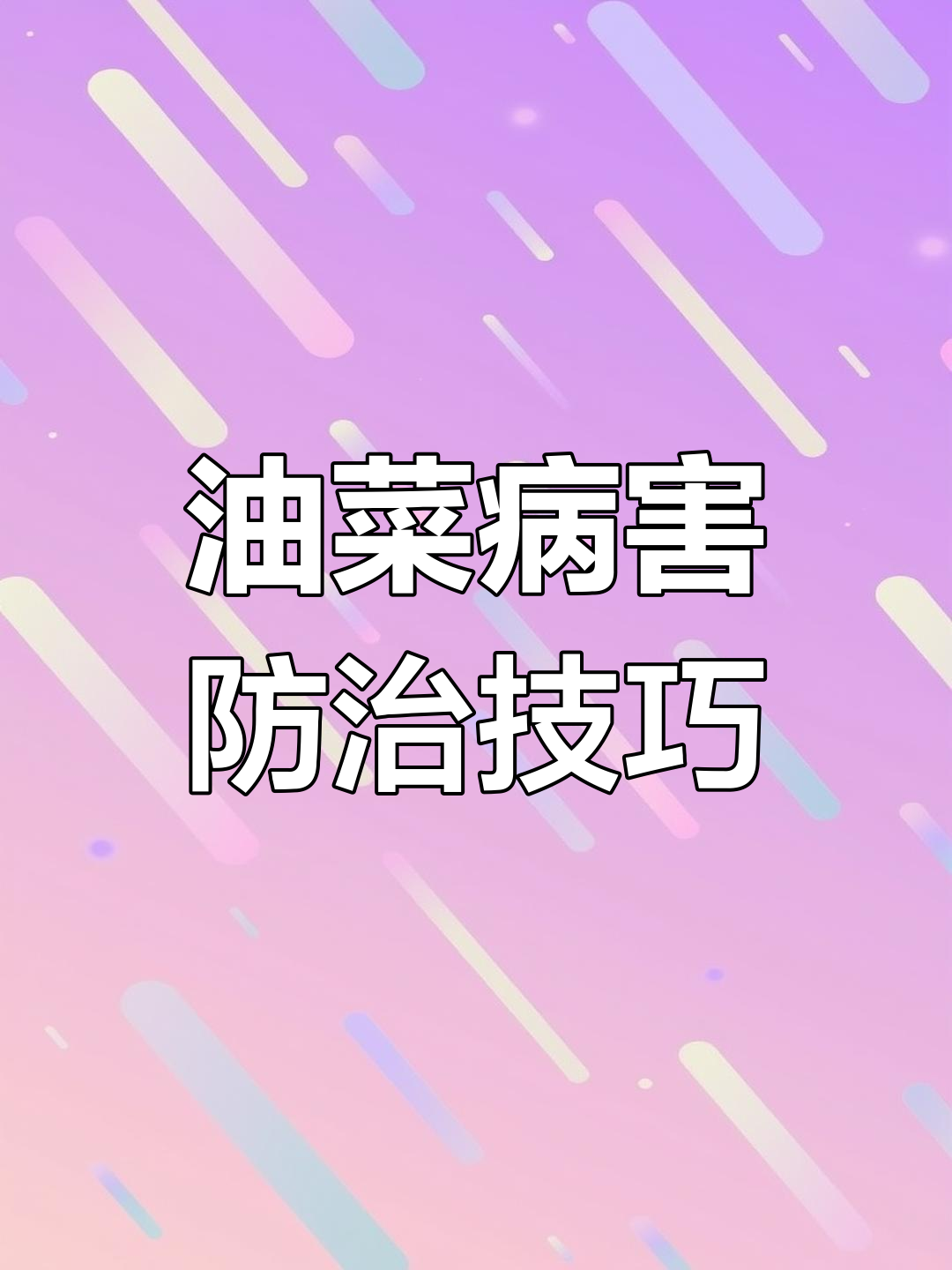 油菜菌核病防治要点,增产增收有诀窍