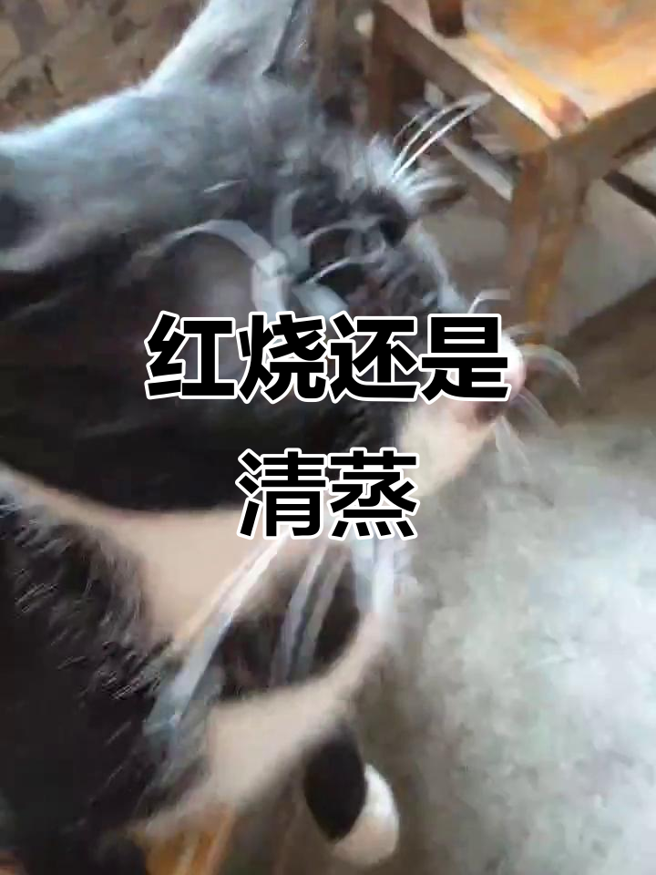 红烧与清蒸,哪种做法更能保持鱼的鲜美?
