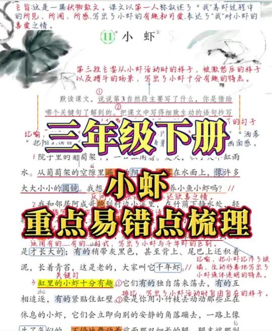 语文书里的考点都藏在哪  三年级下册第十一课《小虾》,重点易错点梳理汇总#三年级 #知识点