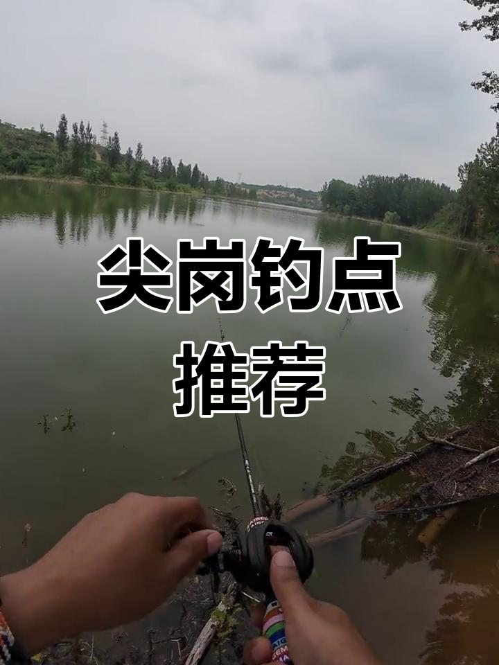 尖岗水库支流,多种鱼类聚集,钓鱼爱好者必试之地!