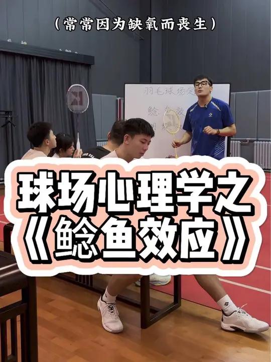 羽毛球场上的鲶鱼效应 羽毛球 羽球人