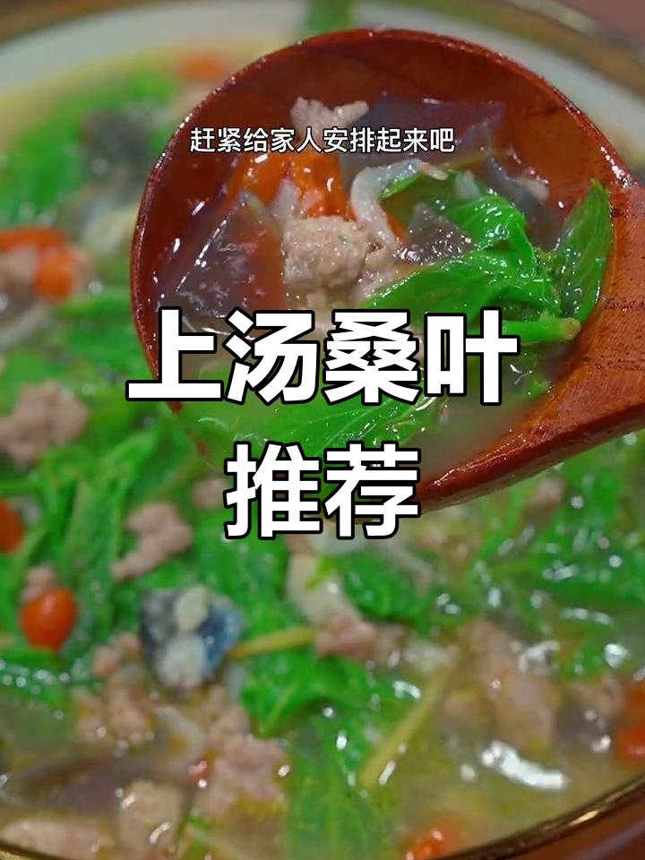 南方人必试的春季美味,桑叶汤满口清新,绝对让你爱不释手