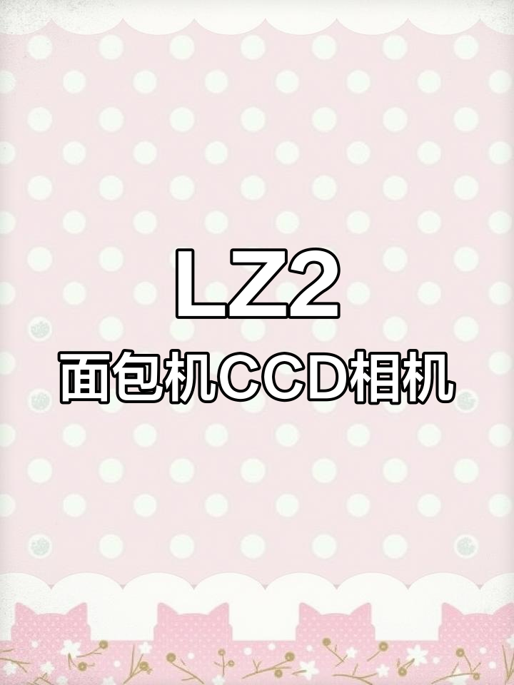 松下LZ2面包机复古外观,徕卡镜头拍摄体验