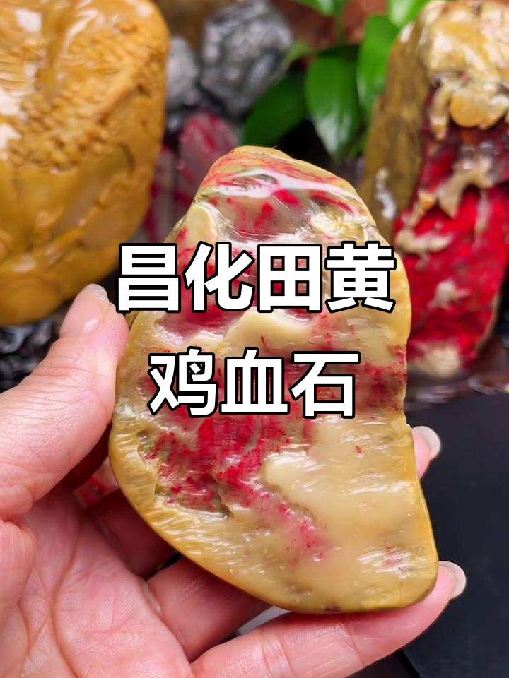 昌化田黄鸡血石：一石二宝，价值无限