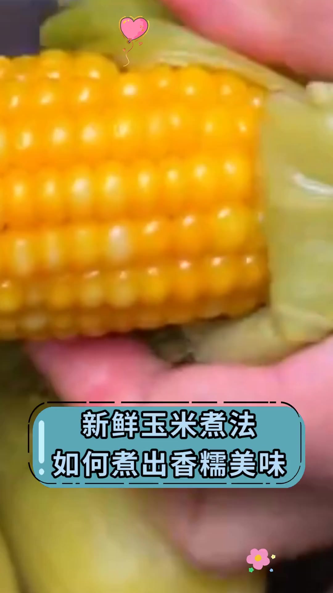新鲜玉米煮法,如何煮出香糯美味