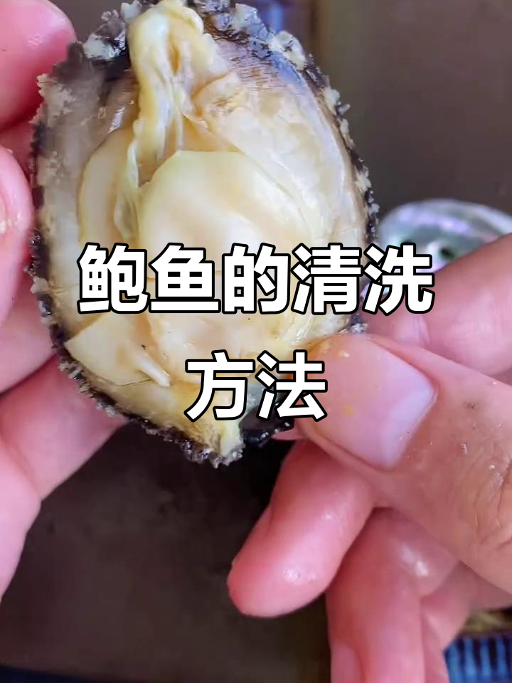 鲍鱼清理技巧大揭秘,哪些部位不能吃?
