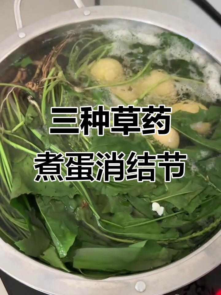 蒲公英、夏枯草与车前草煮鸡蛋,帮你散结消肿