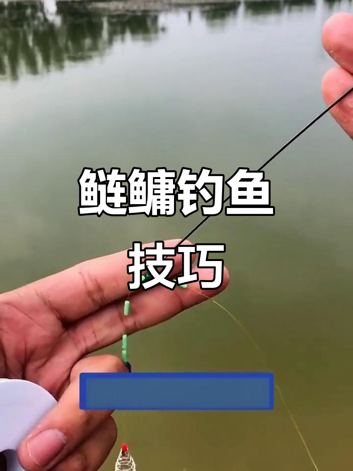 鲢鳙钓法全解析：如何调漂、搭配线组，轻松上手