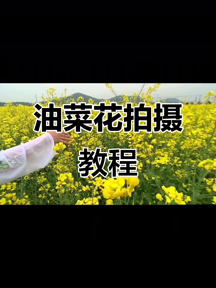 油菜花拍摄技巧大揭秘,慢动作+特写拍出惊艳视频