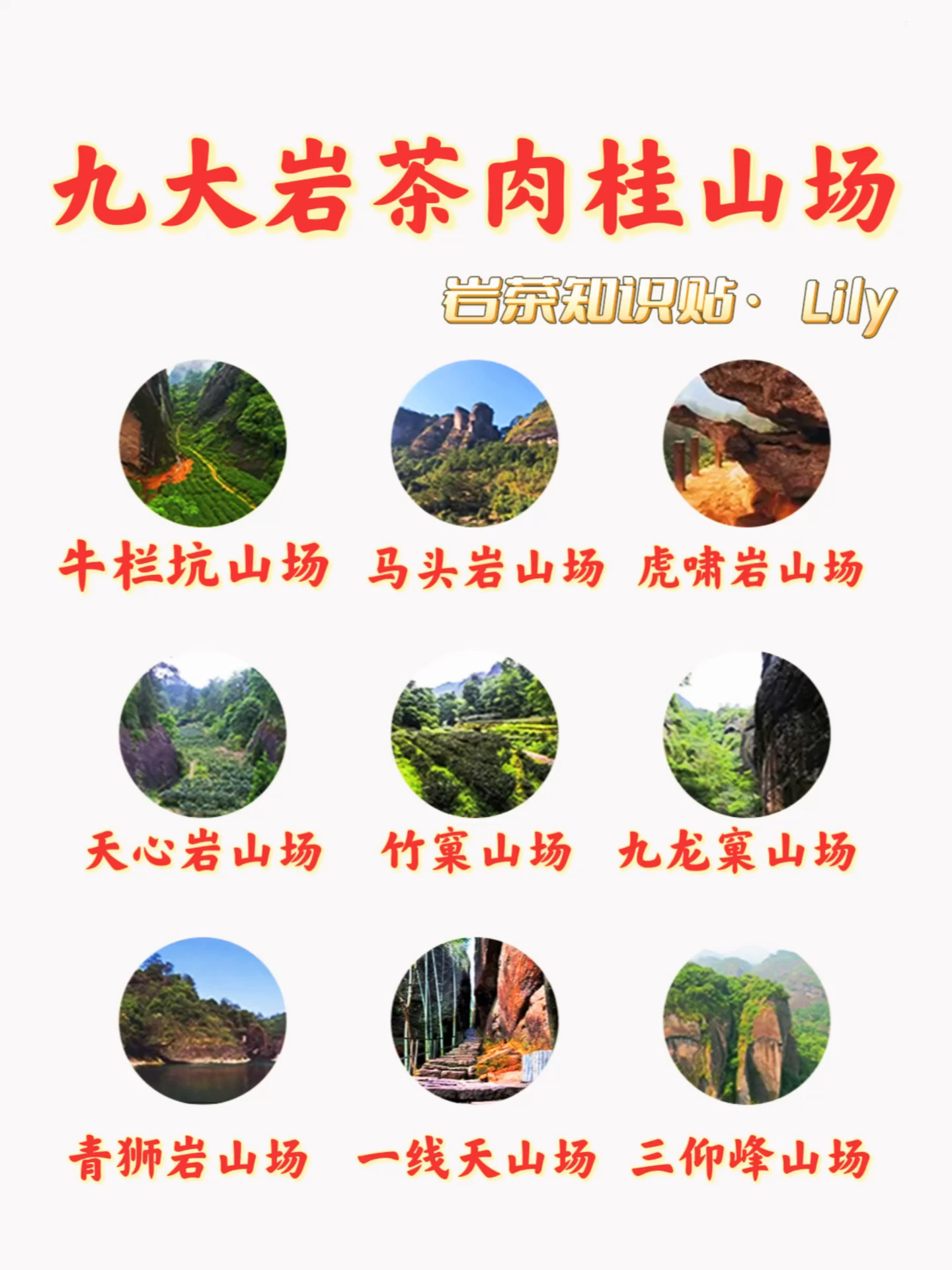 武夷山岩茶九大核心山场 核心肉桂 您喝过吗