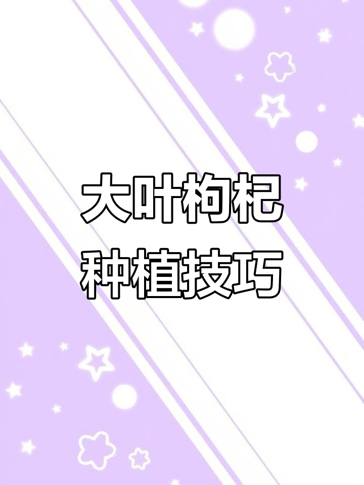 枸杞叶大又绿,花生肤水助力生长
