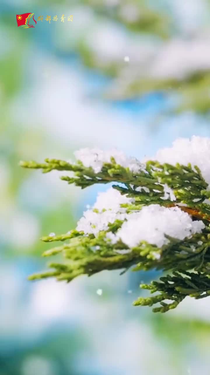 「视频」冬至临,寒意浓,恰逢冬至,一碗滚烫的简阳非遗羊肉汤,将文化传承与产业创新完美融合,