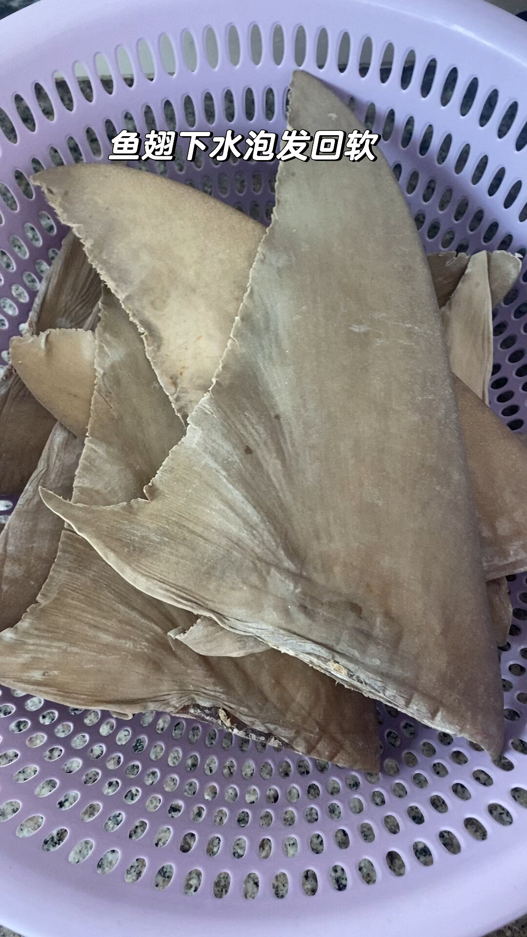 鱼翅泡发流程,方法,12寸中旗鱼翅泡发,很赞!