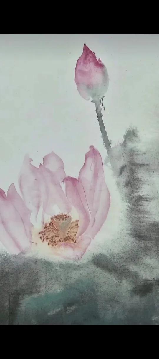 彩墨荷花
