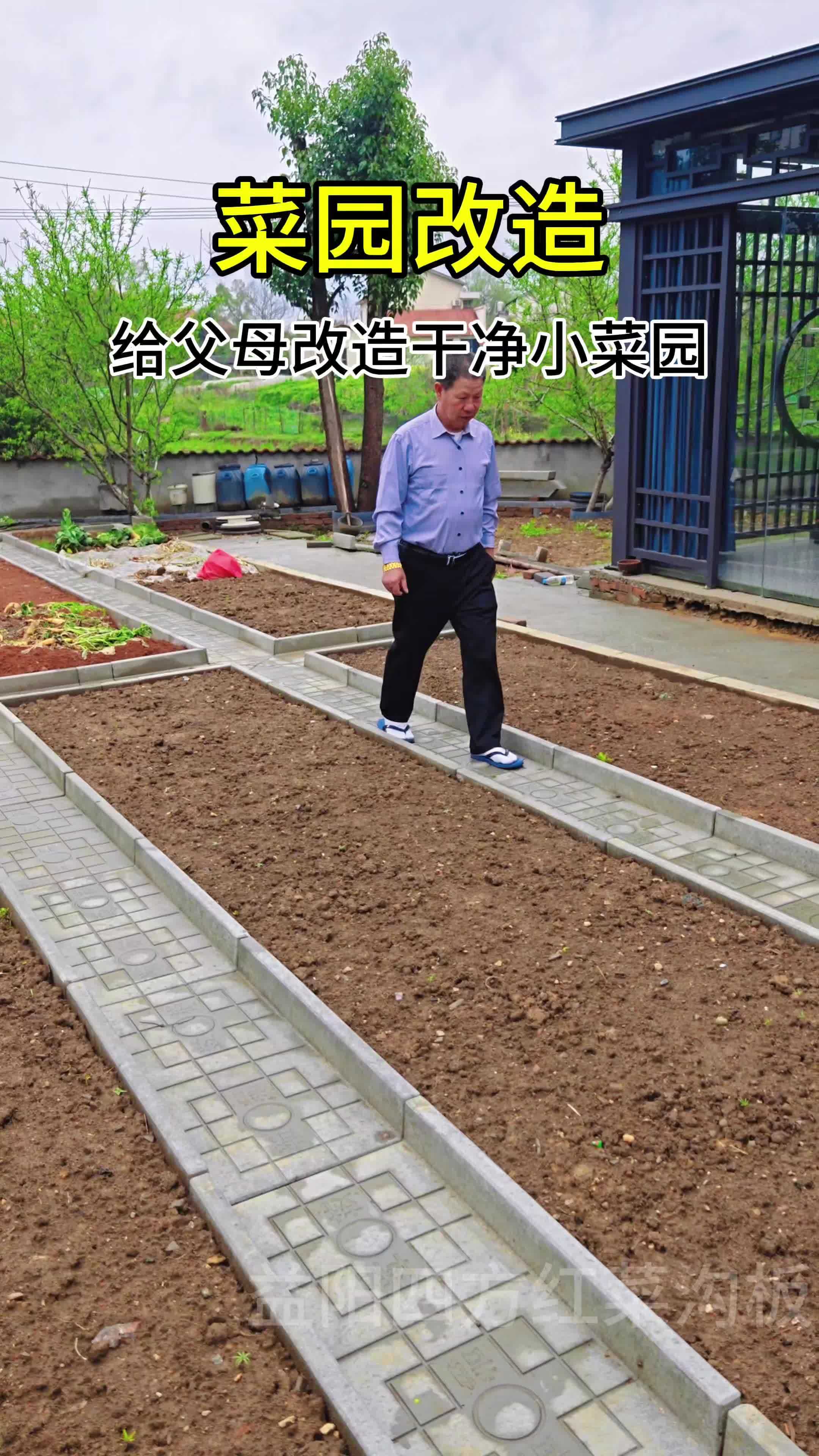 菜园 菜沟板 菜园改造 小院改造 新农村