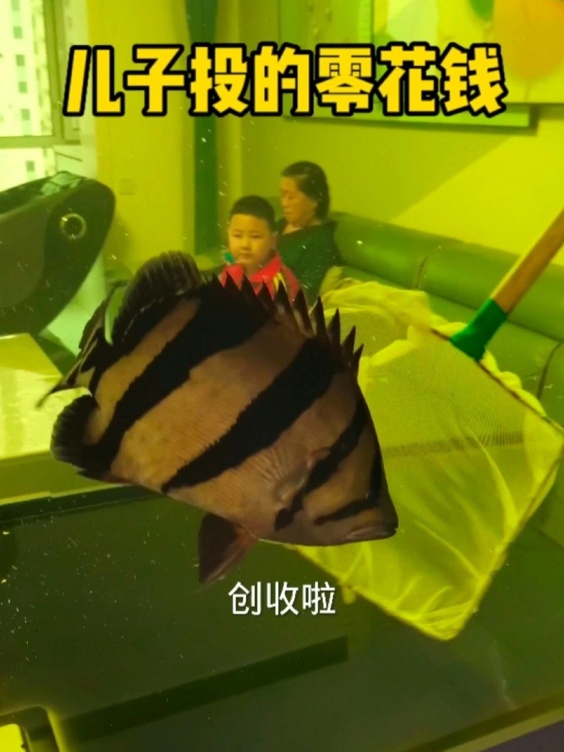 泰国虎鱼