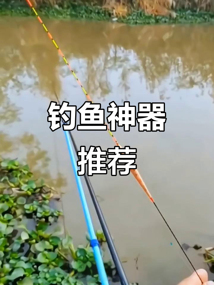 小凤仙鱼漂,灵敏加粗,野钓黑坑鲫鲤必备