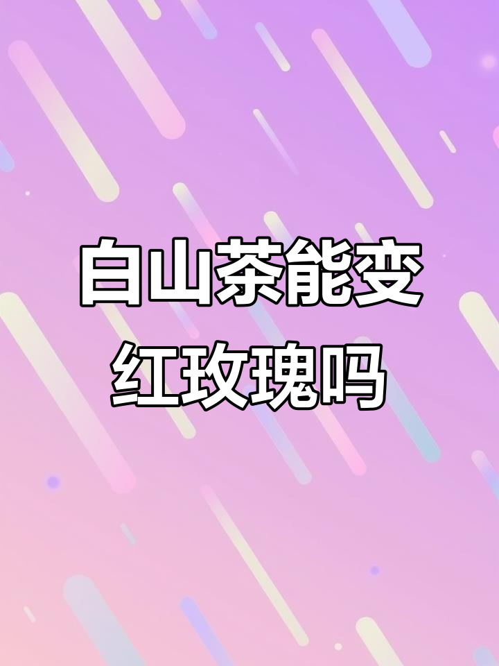 白山茶与红玫瑰,国画中的深意