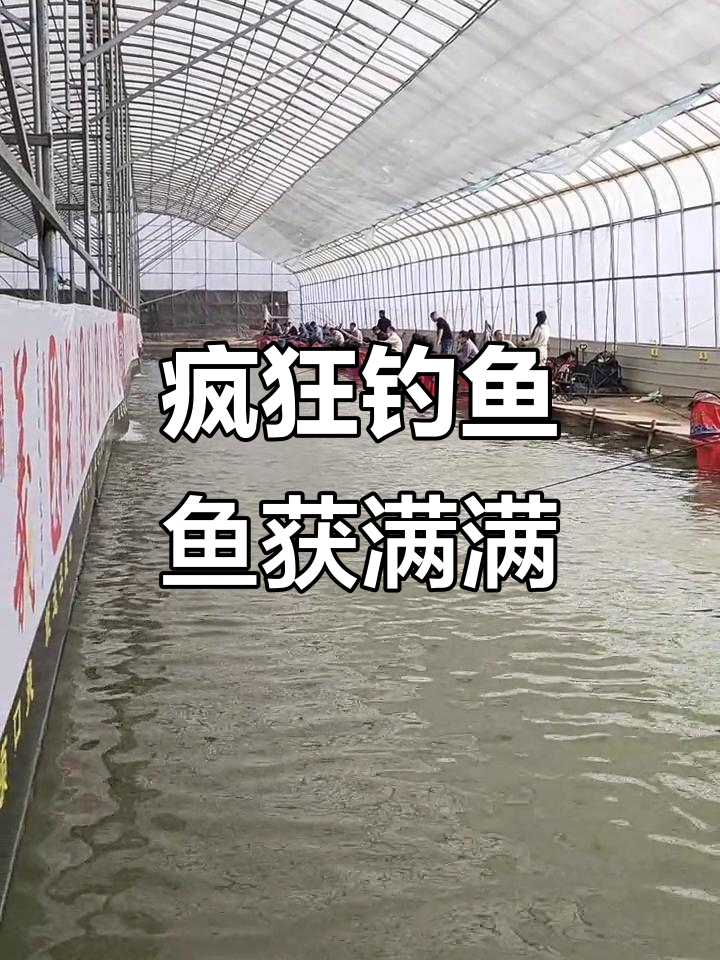 钓鱼场爆满,狂拔不停!金棍表现惊艳全场