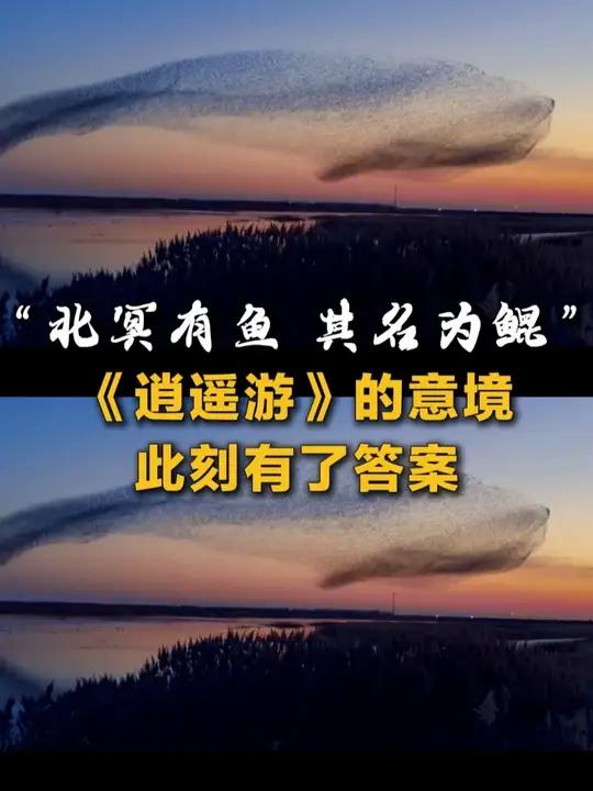 “北冥有鱼 其名为鲲”《逍遥游》的意境 此刻有了答案(来源:火星上行)