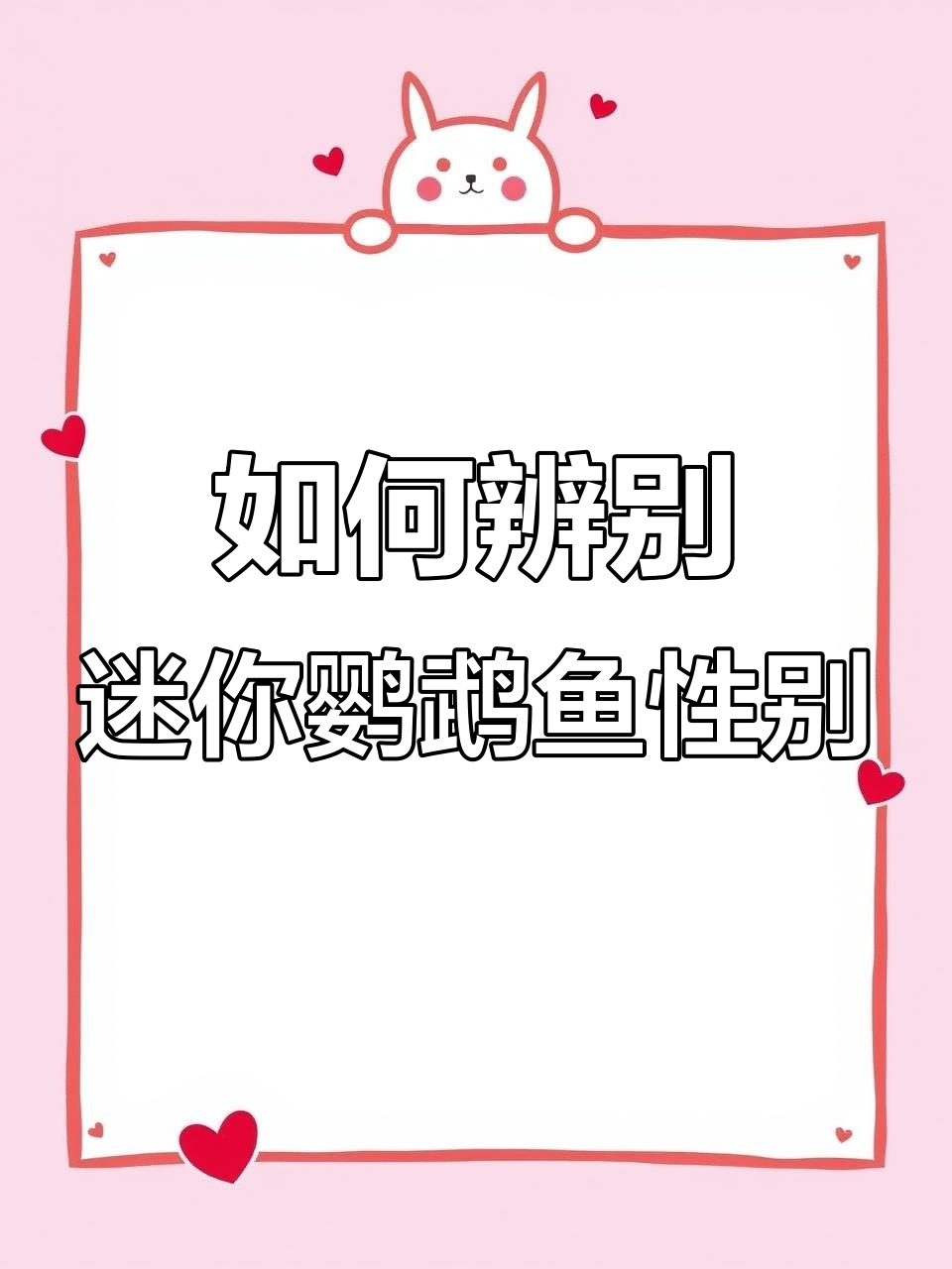 迷你鹦鹉鱼公母分辨与产卵时机揭秘