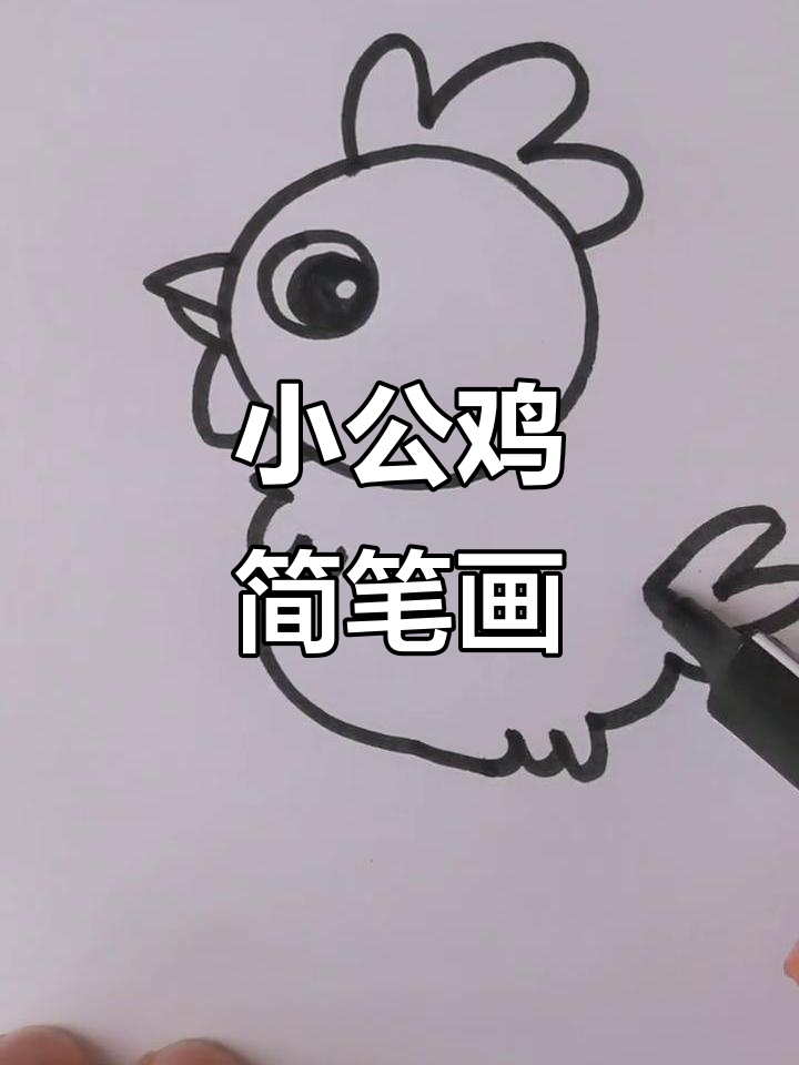 画一只超萌小公鸡,简单又可爱!