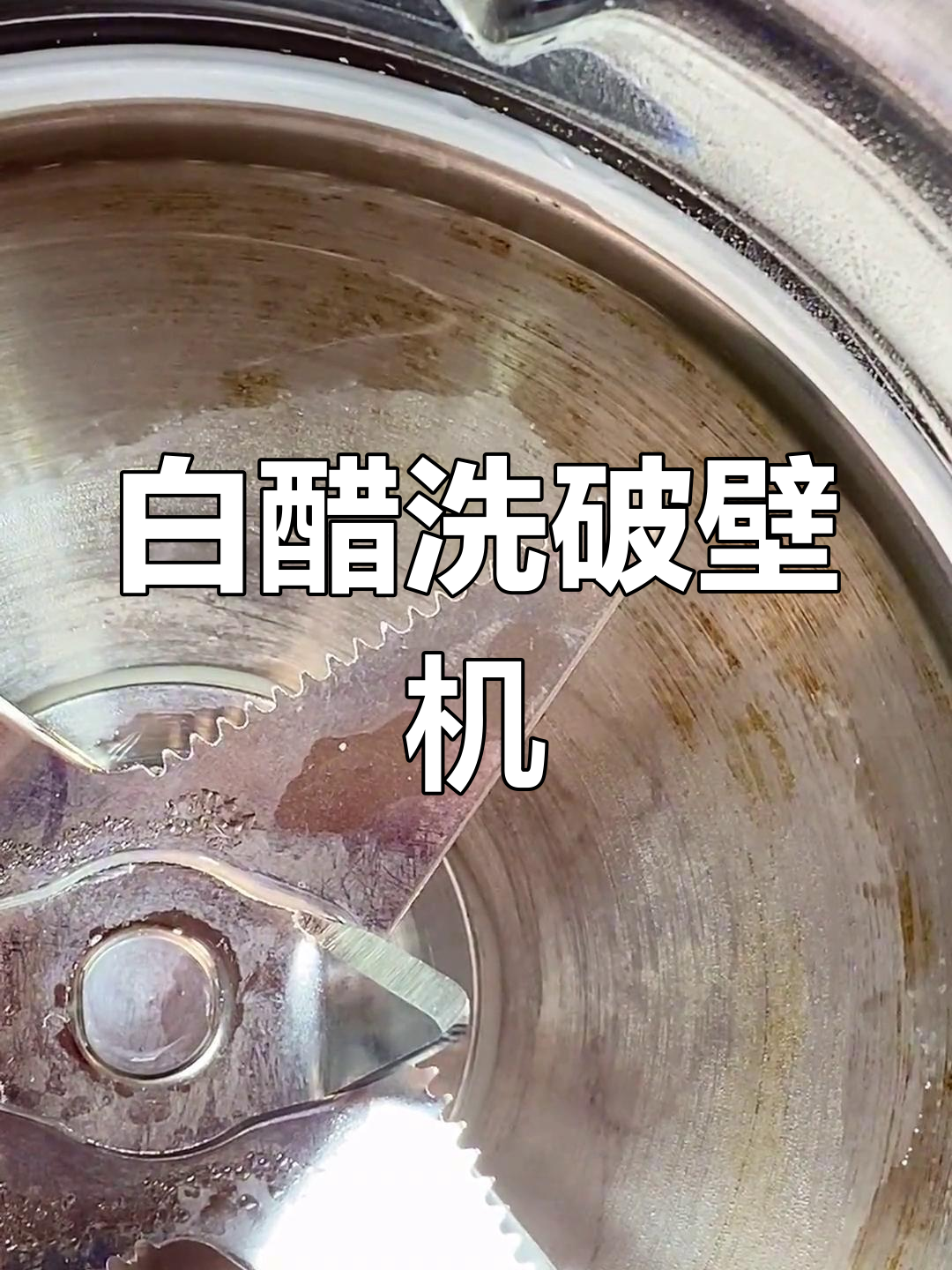 破壁机清洗妙招,白醋鸡蛋壳轻松去污