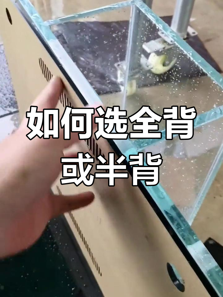 全背包与半背包鱼缸选择指南