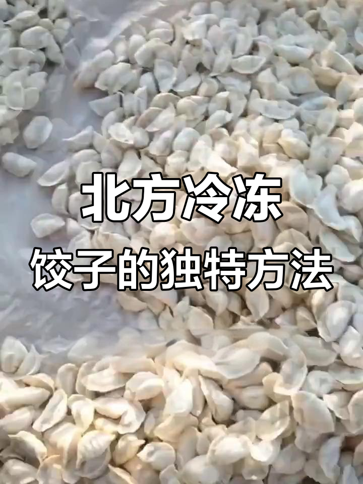 东北冻饺子，零下20度室外速冻法，南方人直呼太神奇
