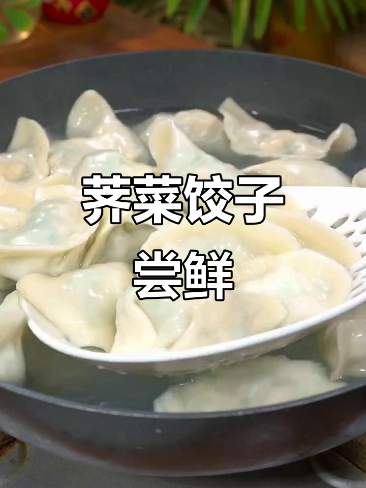 三月荠菜鲜嫩,包饺子尝美味
