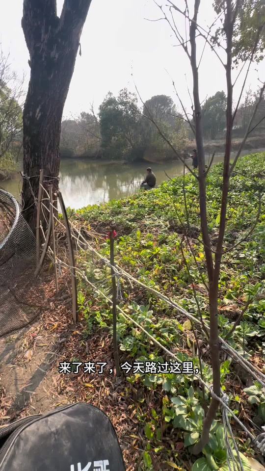 冬季用2.7米鱼竿钓鱼的一天，看看能有多少渔获，气温8至0℃