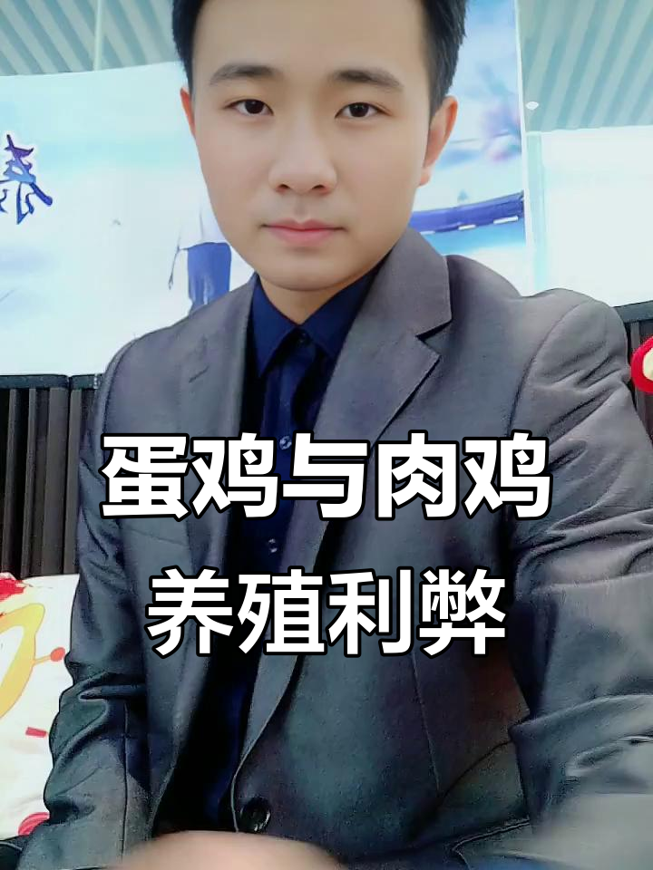 养蛋鸡还是养肉鸡？哪个更赚钱，风险如何分析