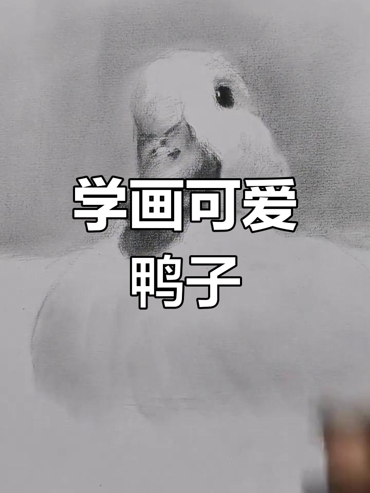 素描鸭子绘制技巧,轻松掌握
