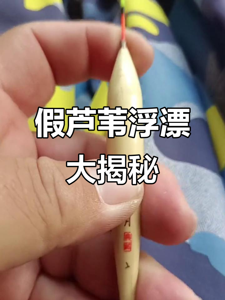 芦苇浮漂真假难辨,爆米花大爷搞笑登场