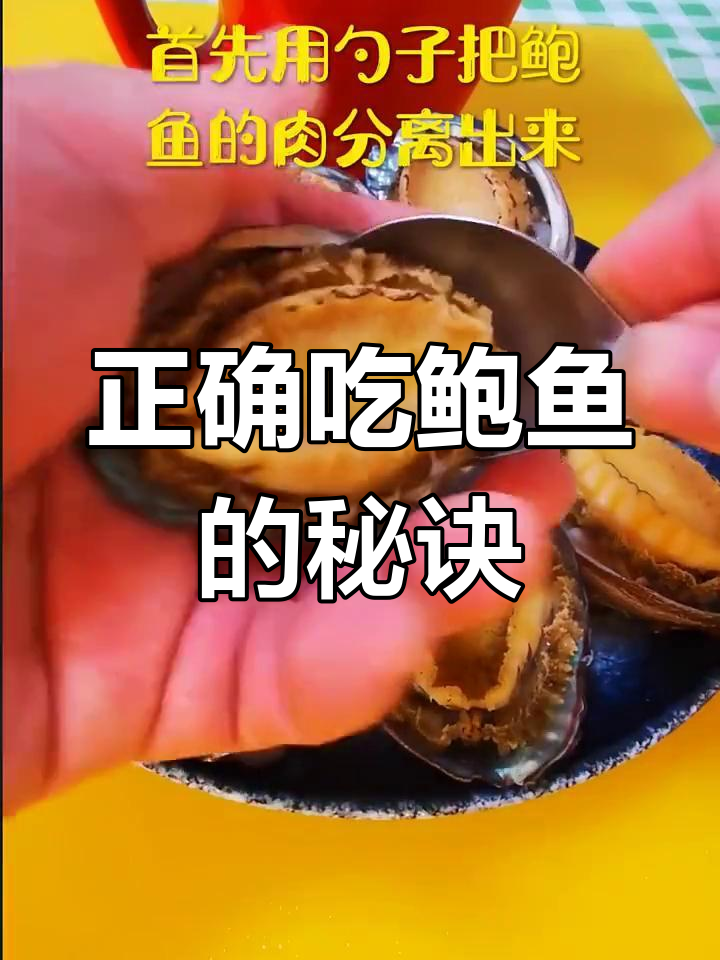 鲍鱼煮法全攻略,去腥技巧大公开