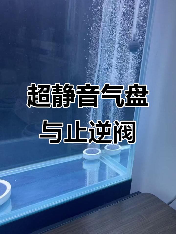 鱼缸增氧泵止逆阀安装技巧，如何区分大小头接法